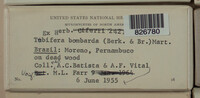 Image Associated With the Occurence